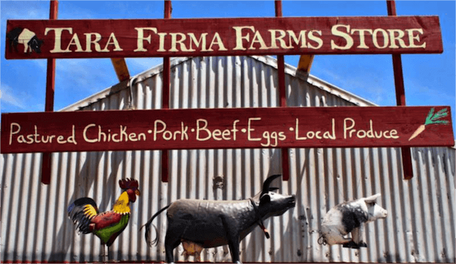 Tara Firma Farms Store sign with figures of a chicken, cow and piglet. 