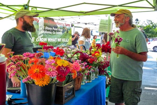 Man chats with a flower vendor at a farmers market. 