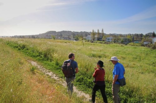 Petaluma River Park Walk | Caminata por el Petaluma River Park