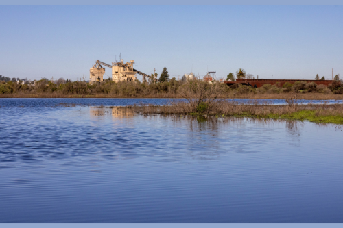 The Petaluma River: Looking Forward