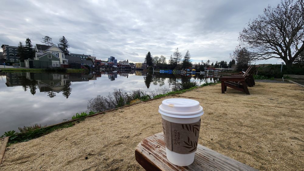 A disposable coffee cup on the arm of an Adirondack chair on a sandy area overlooking the Petaluma River.